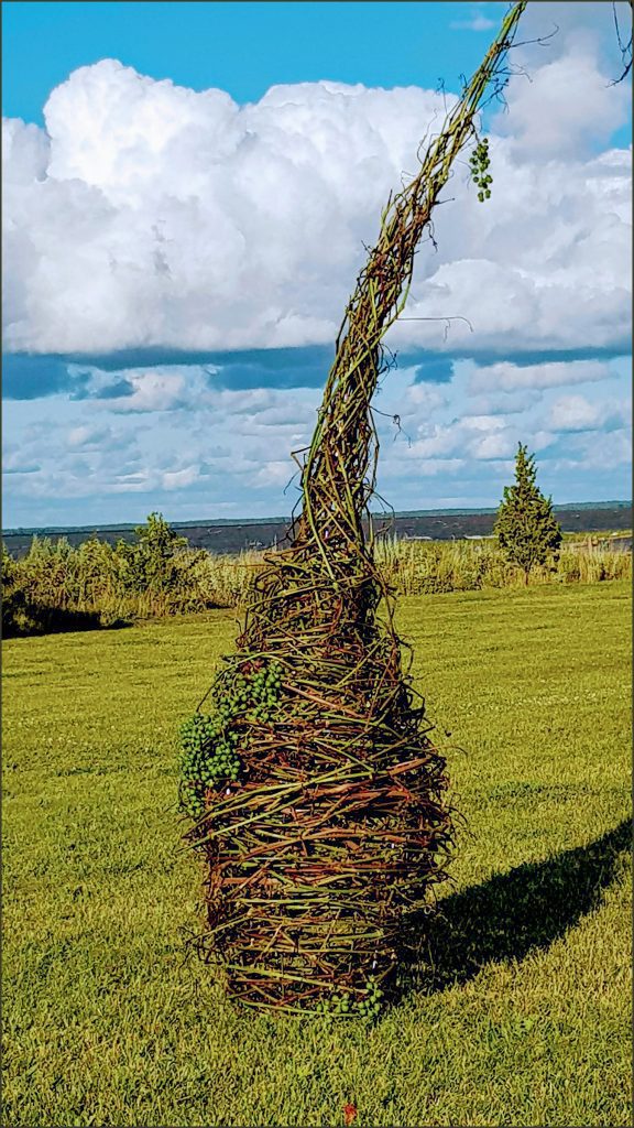 HORTUS-MAGICUS.-Aplinkos-sutvarkymas-.-Augalinės-formos,-Natūralūs-šviestuvai.